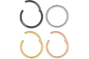 365 Sleepers G23 Titane Unisexe Septum Tragus Helix Segment Articulé Nez Lèvre Anneau Boucles D'oreilles Créoles Piercing Bijoux 20G 18G 16G 14G 12G 10G 8G