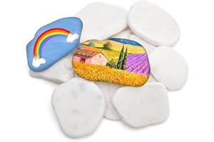 PacuM Galets a Peindre 12 Pièces Blanc Plats à Peindre 4-9 cm Galets Lisses DIY Peintes Rocher Pierres Plates à Peindre Pierres Peindre Galets Naturels Pierres Naturelles pour Décoration de Jardin