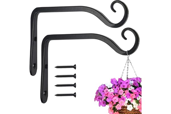 LOOGI Lot de 2 supports muraux en fer pour plantes - 15 cm - Pour suspendre des plantes - Mangeoire à oiseaux - Lanterne - Carillons à vent