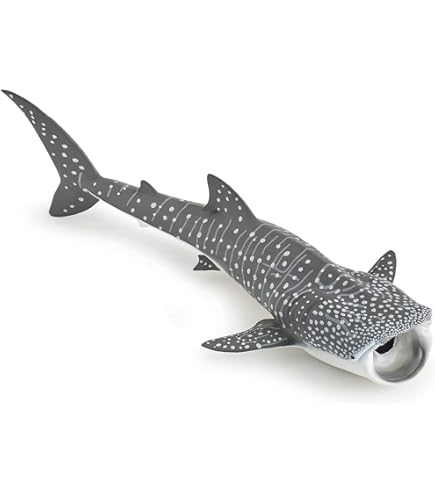 Requin bois flotté 32 x 90 cm - Coquillages de décoration et de collection