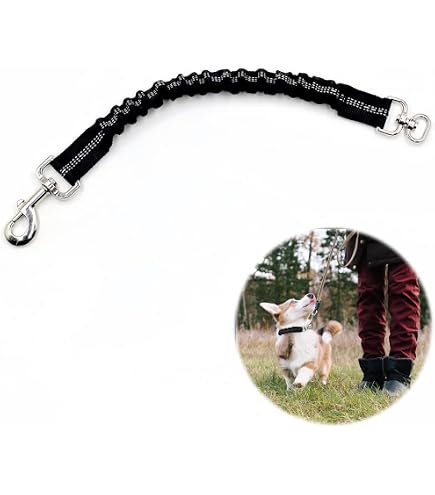 Elropet Flex Fährtenleine – 25 M, Mit Ruckdämpfer, 20 Mm Breit, Für Mittlere & Große Hunde
