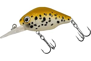 ‎NASTY BAIT Nasty Bait Slinky | Crankbait | Wobbler I Angelköder | Länge 4,5cm - 1,77" | Gewicht 8g | 3D-Augen | BKK Premium Drillingshaken | UV aktive Modelle |Lauftiefe 1,2 – 1,4 m | schwimmend | für Barsch, Hecht und Zander