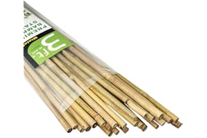 Mininfa Natural Bamboo Canes 3 Feet, Bamboo Stake, Eco-friendly Garden Stakes, Plant Stakes Supports Climbing for Tomatoes, Trees, Beans, 25 Pack