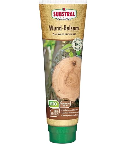 Japan Bonsai-Wundpaste von Kaneshin 100 gr., Kiyonaru 61044 : Amazon.de:  Garten