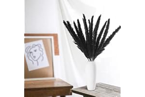 GEFIRE 30 Stück 44cm Trockenblumen, Pampasgras getrocknet, Trockenpflanzen, Schilfgras, Pampasgras, Stäbchen Pampasgras, Pampasgras Federn für Florale Wohnkultur, Boho Deko (Schwarz)