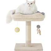 Gardner Pet Small Cat Tree, Height 50 cm, Square Shape-Beige | Designed for Kittens, Hanging Toys, Platform, Scratcher, Short