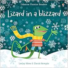 Book cover for Lizard in a Blizzard