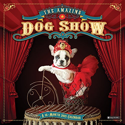 Preisvergleich Produktbild The Amazing Dog Show 2015 Calendar