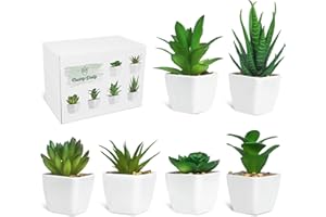 Ouddy Daily 6 Pezzi di Piante Succulente Artificiali in Vaso, Piante Succulente Artificiali Verdi, Utilizzate per Scrivania, Ufficio, Soggiorno e Decorazione della Casa