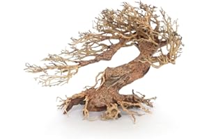 Amtra - Oriental Wind 3 Bois, Fait Main, pour Aquarium, 30 x 13 x 23 cm