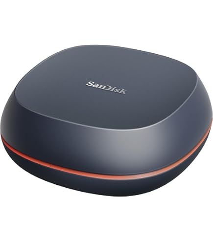 SanDisk Professional 4TB PRO-G40 SSD up to 3000MB/s, External