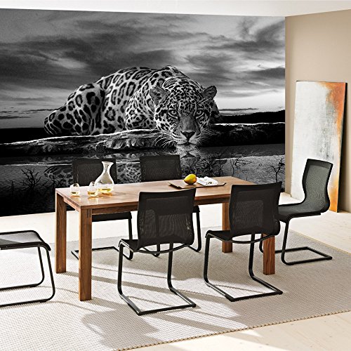 Vlies Fototapete PREMIUM PLUS Wand Foto Tapete Wand Bild Vliestapete – Leopard Wasser Himmel – no. 3560, Größe: 368 x 254 cm Vlies - 8