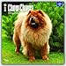 Chow Chows 2017 - 18-Monatskalender mit freier DogDays-App: Original BrownTrout-Kalender [Mehrsprachig] [Kalender] (Wall-Kalender) by 
