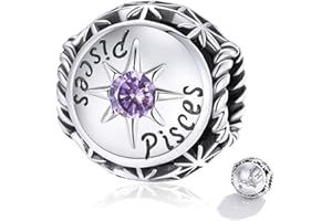 ZALIOAN Abalorio de Plata de Ley 925 para Pulsera Pandora Dijes Originales Charm