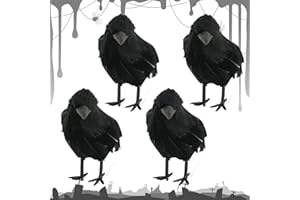 HBSFBH 4 Pezzi Corvi di Halloween, Decorazione Halloween Corvo, Corvo Nero di Halloween, Corvi Piumati Artificiali, Halloween Corvi Decorazione, Decorazioni Realistiche di Corvo, per Festa di Halloween