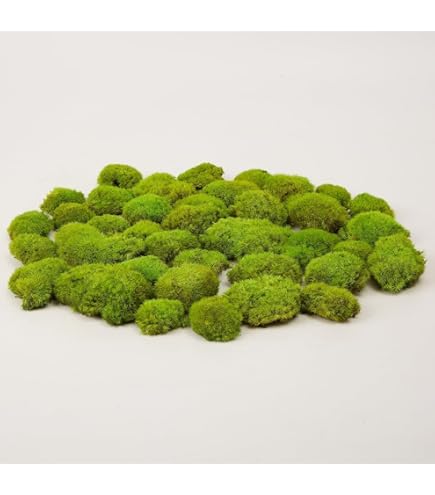 GJS Plat mos, 100 g - echt geconserveerde duurzame mosmatten voor ambachten, decoratief mos - planttype, bladvorm, groen artikel