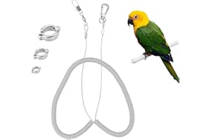 Andiker Corde Volante pour Perroquet, 5 Mètres Perroquet Pied Chaîne Laisse D'entraînement Volant Extérieur, Harnais Élastique Anti-Morsure Corde D'entraînement pour Agapornis (Argent)