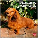Longhaired Dachshunds 2013 - Langhaardackel - Original BrownTrout-Kalender by 