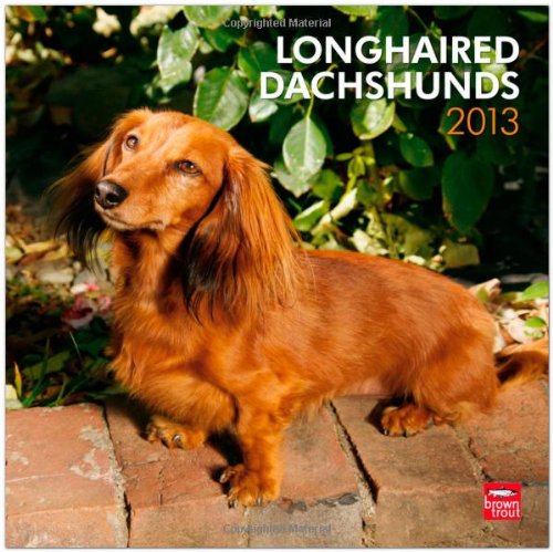 Longhaired Dachshunds 2013 - Langhaardackel - Original BrownTrout-Kalender