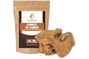 Wildfang® Radice di Erica Arborea per Cani, Taglia M – Giocattolo Naturale da Masticare, senza Schegge, Indistruttibile, Cura dei Denti & Gioco (per Cani 15–25 kg), 1 pz