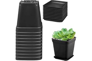KIRZAX 10 Pezzi Vasetti Plastica per Piante, 7cm Vasi Quadrati con Fori di Drenaggio, Set di Vasi Ideale per Interno, Balcone, Piantine Suculente, Cactus