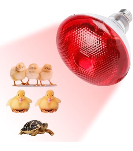 Lampada A Infrarossi Rossa Modee R125 150W - Per Riscaldamento Suini E Pollame, Attacco E27, Durata 3000 Ore, Angolo 180&deg;, Vetro Resistente