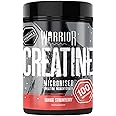 Warrior Creatine Monohydrate Powder – Micronised for Easy Mixing and Consumption – Proven to Improve Physical Performance/Recovery, 5g Servings (Savage Strawberry, 500g)