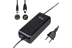 YANGZIDIANYUAN Cargador batería 54.6V 4A, para batería de Litio de 48V, con Pantalla LED y múltiples Funciones de protección y reparación, certificación CE, Equipado con Conectores RCA 8 mm, DC 5,5 * 2,1 mm