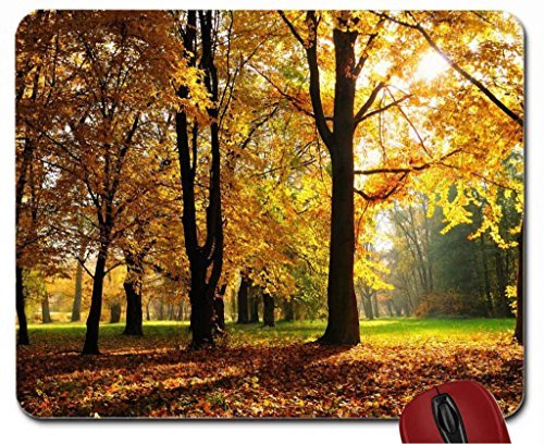 Preisvergleich Produktbild Goodbye Autumn Mauspad Computer Mauspad