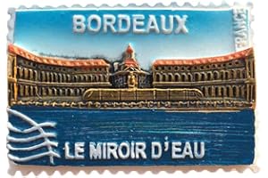 WEDARE Burdeos Francia imán de refrigerador 3D Recuerdos Hechos a Mano Pegatinas magnéticas de Resina decoración de la Cocina del hogar, Burdeos Francia imán de Nevera colección Regalo