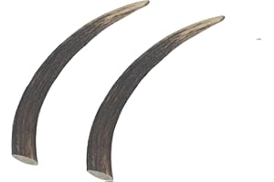 Ace Antlers Deer Antlers for Dogs - 2 x Large Antler Chews - (100-150g each)