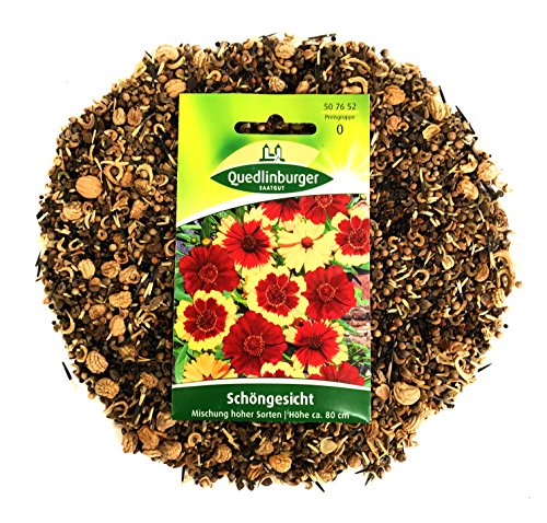 Premium Blumenteppich inkl. 1 Pkg. Schöngesicht kostenlos - 6