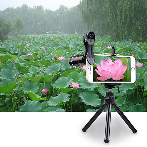 Apexel Objetivo universal 4 en 1 para tel fonos m viles teleobjetivo ojo de pez lente gran angular y macro con minitr pode para iPhone 7 6 6s y Samsung HTC tableta y la mayor a de los tel fonos Android reviews Apexel Objetivo universal 4 en 1 para tel fonos m viles teleobjetivo ojo de pez lente gran angular y macro con minitr pode para iPhone 7 6 6s y Samsung HTC tableta y la mayor a de los tel fonos Android