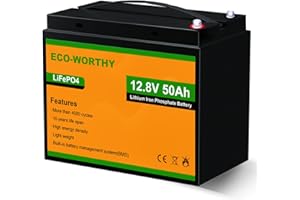 ECO-WORTHY 12V 50Ah Batteria LiFePO4 Litio Ferro Fosfato Ricaricabile con Oltre 3000 Volte Deep Cycle e Protezione BMS per Kit Pannello Solare, Scooter, Famiglia, Trolling Motor