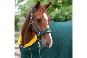 CAMEO EQUINE Cameo Fleece Headcollar for Horses - Fleece Lined Headcollar & Lead Rope Set - Royal Blue / Navy