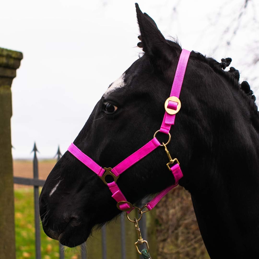 Cabestro para caballo de sangre caliente, sangre completa, sangre fría, cabestro para establo, cabestro de pasto (rosa, pura sangre).