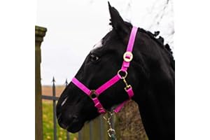 Pferdelinis Cabestro para Caballo de Sangre Caliente, Sangre Completa, Sangre fría, Cabestro para establo, Cabestro de Pasto (Rosa, Pura Sangre).