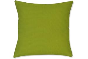 BYRON HOYLE Color of LIME Waterproof Throw Pillow Cover,Pack of 2 Outdoor cushion cover,Outdoor Decorative Pillow case for Garden Patio Tent Couch,housewarming gift,45x45cm