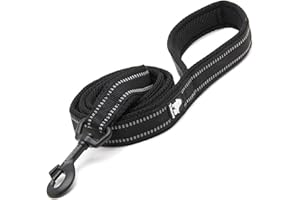 TRUELOVE TRUE LOVE Dog Leash Puppy Walking Lead Pet Chain Padded Reflective Night Safe Rope Length 110cm TLL2111(Black,L)