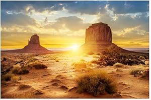 Hakeeta Poster per Acquario, per Acquario, Stile Sole e Deserto, Adesivo in PVC, Decorazioni per fondali per Acquario, Resistente, 9 Dimensioni tra Cui Scegliere(91 * 41cm)