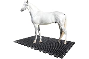 ‎ETM etm Stallmatte aus Gummi - 100 x 100 cm - Stallboden - Puzzlesystem - rutschfest & gelenkschonend -20 mm Stärke (Buffalo)