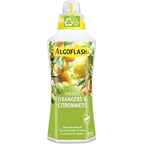Engrais Agrumes Professionnel 1kg NPK 7-3-10 | Pour Orangers, Citronniers, Oliviers