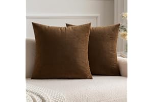 MIULEE Lot de 2 Housses de Coussins en Velours Décoratif Canapé Taie d'oreiller Super Lisse Doux Confortable Decoration Maison Salon Chambre pour Canapé 40X40CM Marron