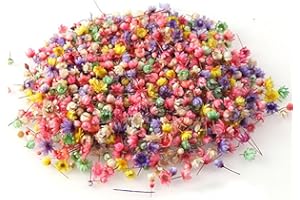 VOTVLOG 200 Pezzi Piccoli Fiori Secchi, Mini Fiori Secchi Materiale per Artigianato Fai da Te, Naturali Veri Fiori Pressati in Resina Artificiale, per Realizzare Regali e Biglietti D'auguri