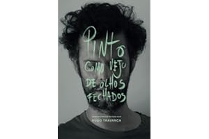 Pinto como vejo de olhos fechados: Devaneios sobre o ato de criação visual