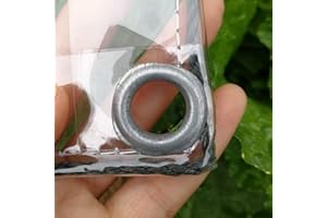 SDFVSDF Plane Transparent Mit öSen, wasserdichte Abdeckplane Transparent, 0.3mm PVC-Kunststoffplane für Terrasse, Pavillon, Terrassen, Windschutz, AußEnbereich, 420g / M², Größe: 2m×2m