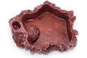 AYVRUOP Reptilien Wasser Tablett,terrarium zubehör,schildkröten terrarium,Langlebig, simuliert eine wilde Umgebung, geeignet für die meisten kleinen kletternden Haustiere