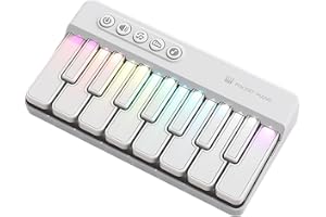 BIGTHREE Portable Light Up Kids Piano Keyboard, Mini Electronic Piano Keyboard, Interactive Educational Toy for Ages 3+, Early Educational Activities for Classroom (White)
