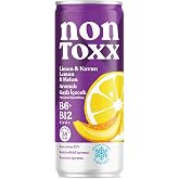 NONTOXX Limon Kavun Sirkeli Gazlı İ&ccedil;ecek 250 ml