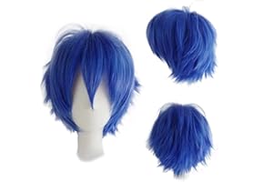 Gairyan Parrucca Blu Corta Cosplay Parrucca per Donna/Uomo Unisex Cosplay Anime Wig Lisci Parrucca Sintetica con Frangia Parrucche per Halloween Carnevale Costume Feste a Tema